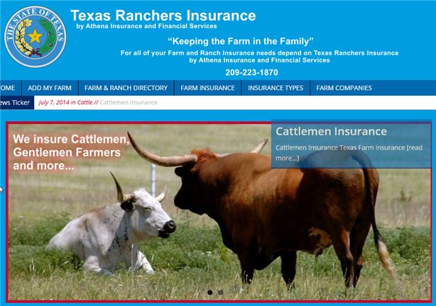 Texas Farm Insurance