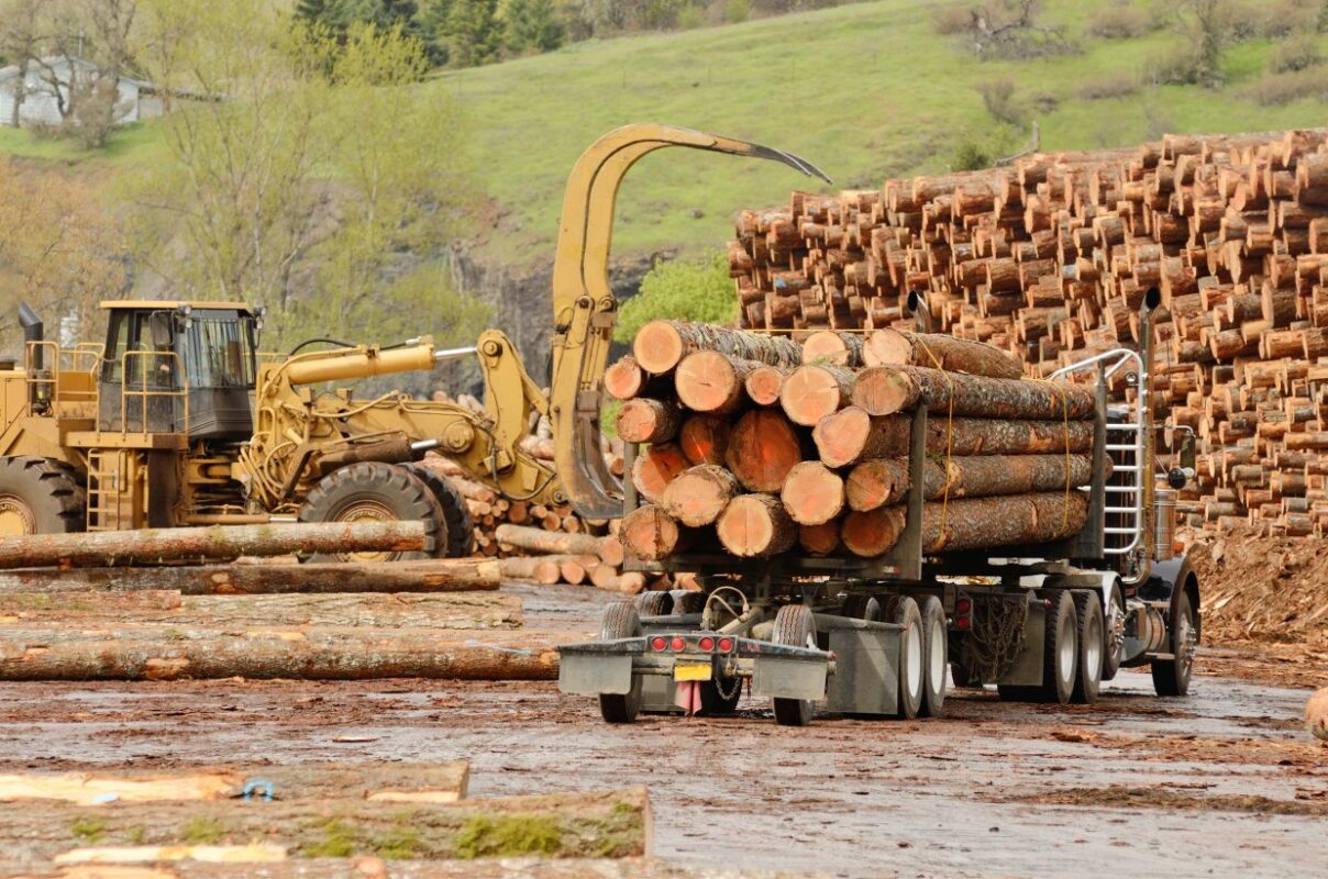 loggers-background-loader-logs-truck