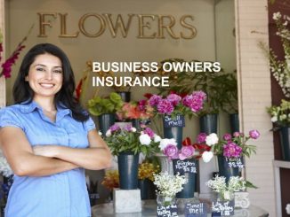 Business Owners Insurance